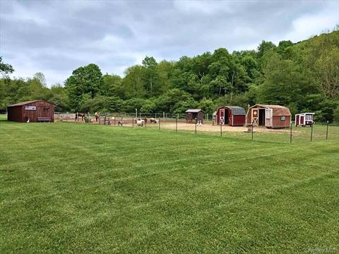 Yard