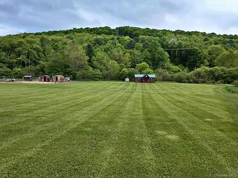 Yard