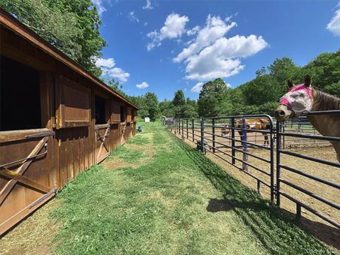 Stable