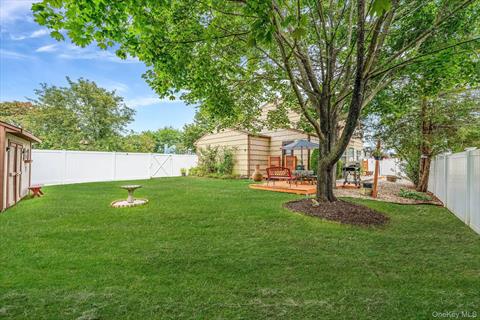 Yard