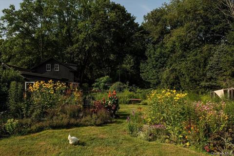 Yard