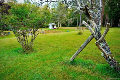 Yard