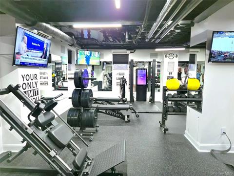 Gym