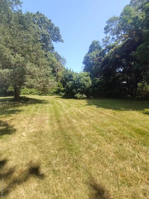 Yard