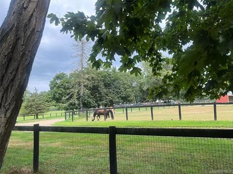 Stable