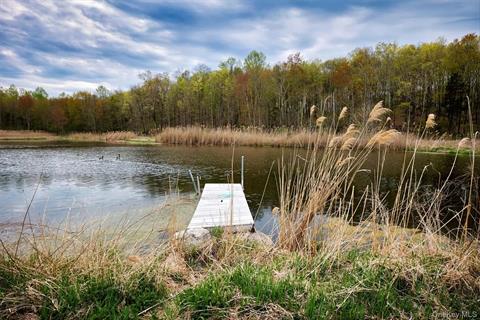 Dock