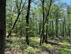 Looking to build your dream home in the country? This is the perfect spot! Nearly 3 acres of hardwood and pine trees with privacy and the peace and quiet you looking for. Located off a quiet country lane and the perfect setting for your dream home. Only 2 hrs. NYC and close to conveniences, schools, farmers markets, recreation, hiking and so much more! Make your dream come true in Glen Spey NY, the foothills of the Catskill Mountains yet close to everything!
