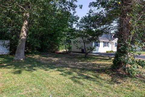 Yard