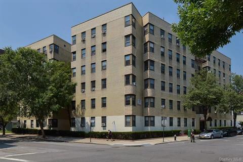 Front of Structure