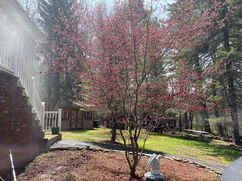 Yard