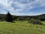 102 Acres with Sweeping Hudson Valley & Catskill ViewsThis unique property offers 102 acres of open fields and breathtaking vistas overlooking the Hudson Valley and the Catskill Mountains. At the heart of the land sits a 3-bedroom home along with horse stalls and barns, ready for renovation and new vision.A long driveway brings you up the hill, where the expansive views unfoldâ€”perfect for creating a country retreat, equestrian estate, or private homestead.With a little TLC, this property has the potential to become a truly remarkable estate in one of the most scenic regions of New York.An incredible opportunity to bring a beautiful property to the next level.