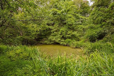 Pond