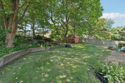 Yard