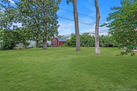 Yard