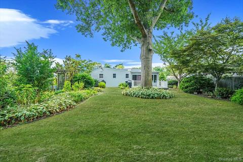 Yard
