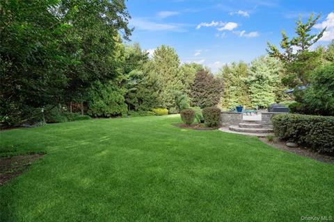 Yard