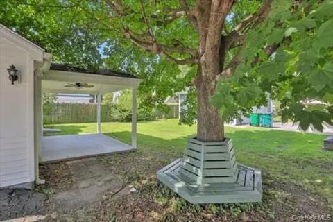 Yard