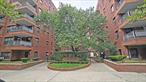 Welcome home to this newly renovated studio coop apartment in the Flatlands neighborhood of Brooklyn. Located within the tree lined streets of the Kings Village development you&rsquo;ll find nearby shopping, playgrounds and a wide array of bus transit along Flatlands Ave and Kings Hwy. This coop apartment is a large studio, full kitchen, subway tiled bath and wooden floors in an elevator building. Come see it today. This is a Fannie Mae HomePath property.
