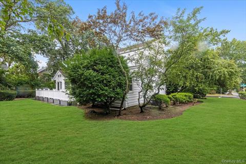 Yard
