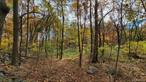 Welcome to Orange Lake. Very private lightly wooded 2.7 acre lot is at the end of quiet private road. Lake access is in your deed so you can launch your toys and use this gem of a lake all year long. Preliminary engineering and perc tests have been done. Town needs your plans. About 1 acre is usable land and house on engineer doc is appx 2000 sf. Renderings are also available. Broker states interest.