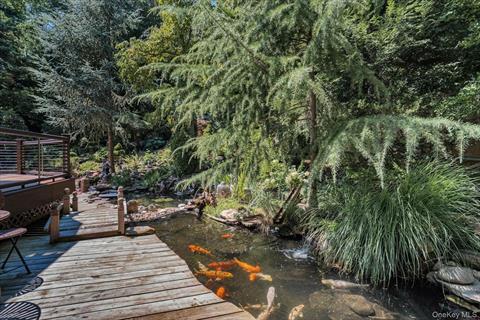 Pond