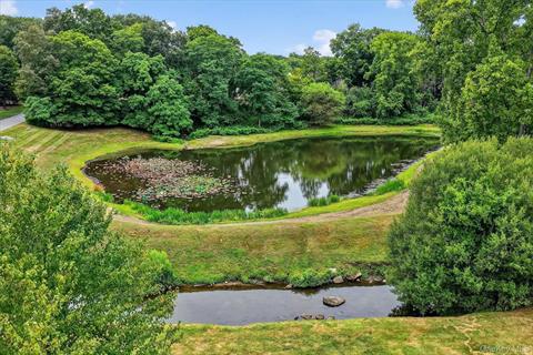 Pond