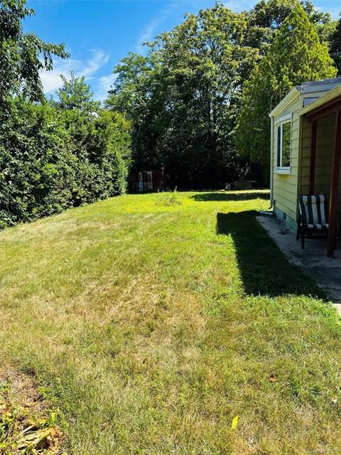 Yard