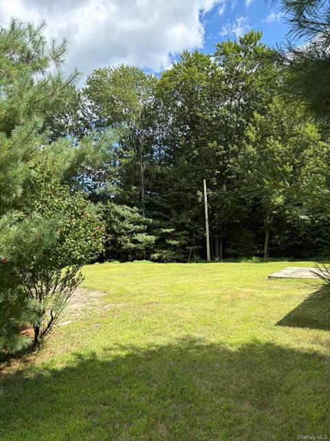 Yard