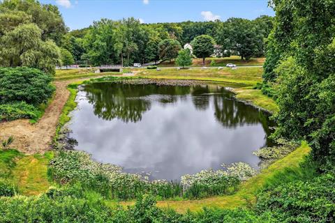 Pond