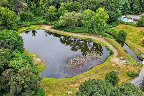 Pond
