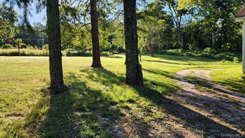Yard