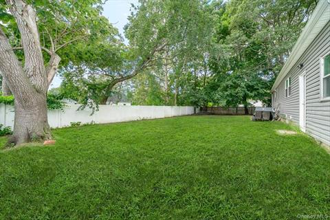 Yard