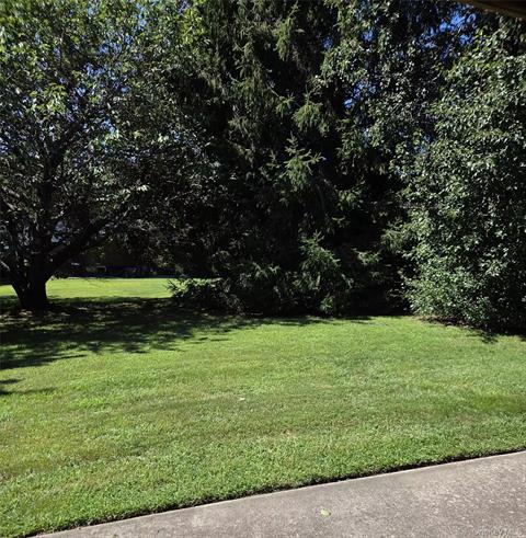 Yard