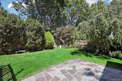Yard