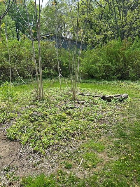 Yard