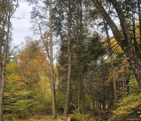 Property Picture