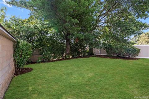 Yard