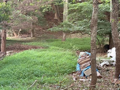 Yard