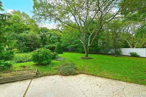 Yard