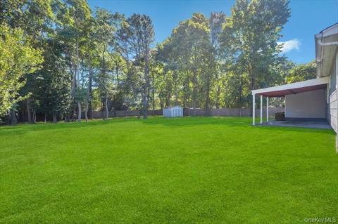 Yard