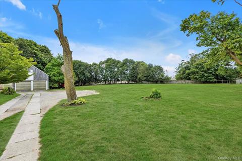 Yard