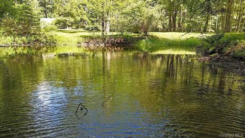 Pond
