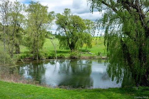 Pond