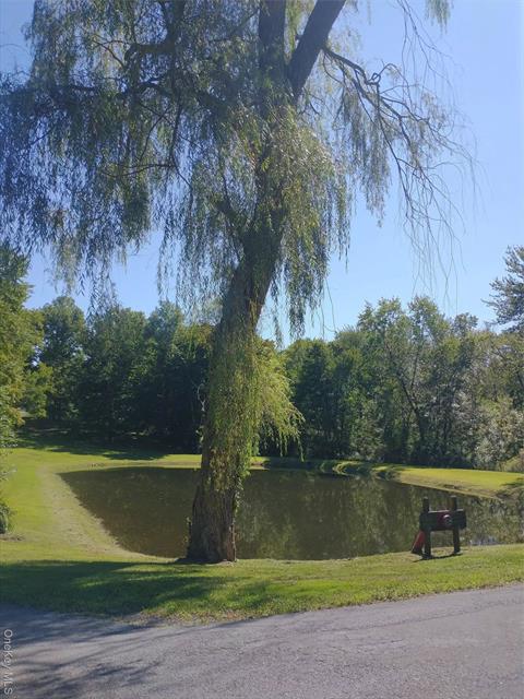 Pond