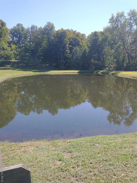 Pond