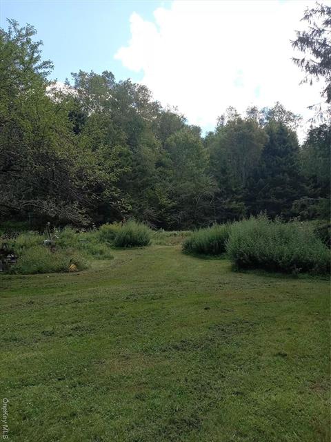 Yard