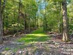 BEAUTIFUL IMPROVED 53.26 ACRE BUILDING LOT LOCATED IN MAMAKATING, NY - This parcel has a driveway in with a portion topped with item/stone and then continues into the lot.  Electric is at the road and can easily be brought in to the building site. Parcel features many great options for a new home with some gentle sloping making for a great opportunity to have a garage under the structure. With a nice mix of hardwood trees this gorgeous lot makes for an incredible setting for your new build. With 53+ acres you can create trails throughout the property making for the ultimate recreational retreat. Located just under 2 hrs from NYC, makes this special property a very easy commute. Close by you&rsquo;ll find many quaint towns for dining/shopping, the Delaware River for rafting/fishing, Bethel Woods Preforming Arts Center for amazing concerts under the stars, Kartrite Indoor Water Park, Resorts World Casino, skiing at Holiday Mountain/Big Bear at Masthope Mountain, many amazing hiking/biking trails, many lakes for fishing/boarting and absolutely the best farmers markets you&rsquo;ll find anywhere, all for a very beautiful life in the country.