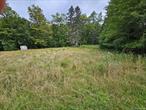 Lots of possibilities on this three acre plot. Level and ready to be developed. Has a Well that can be Shared. Conveniently located on the corner of Rt 55 and Flower Avenue, Kauneonga Lake. This property will connect to the Town of Bethel public sewer. Walking distance to White Lake&rsquo;s restaurant row, the public boat launch and farmers markets. White Lake Brook runs quietly along one side of the property. There used to be several cottages on the property many years ago and there are only two remaining - all structures are in poor shape and uninhabitable. Seller makes no representation of any utilities, water or sewer connections. Town of Bethel code is RS = Residential Settlement District. Permitted Usage could be: One Family homes, Two-Family homes or even a Bed-and-Breakfast on either 1/2 or one acre minimum. Site plan approval required by the Town Building Department. Potential Buyer should do their own due diligence for any project intended.