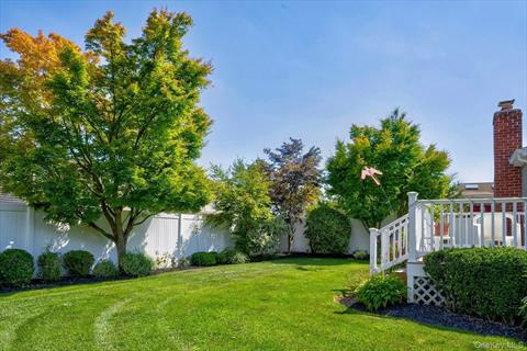 Yard
