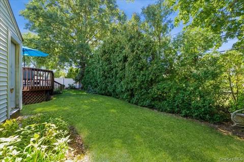 Yard